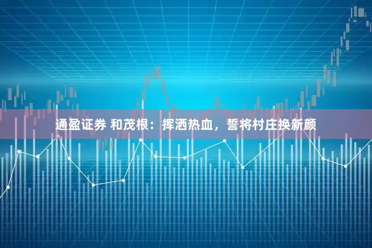 通盈证券 和茂根：挥洒热血，誓将村庄换新颜