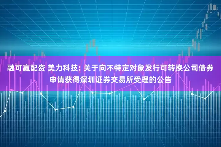 融可赢配资 美力科技: 关于向不特定对象发行可转换公司债券申请获得深圳证券交易所受理的公告