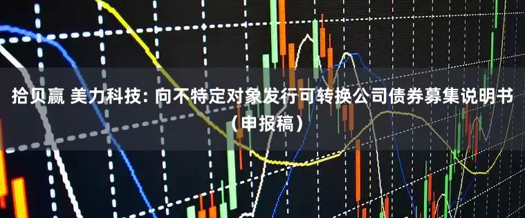 拾贝赢 美力科技: 向不特定对象发行可转换公司债券募集说明书(申报稿)