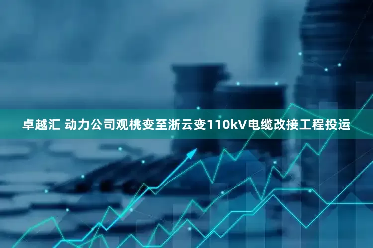 卓越汇 动力公司观桃变至浙云变110kV电缆改接工程投运